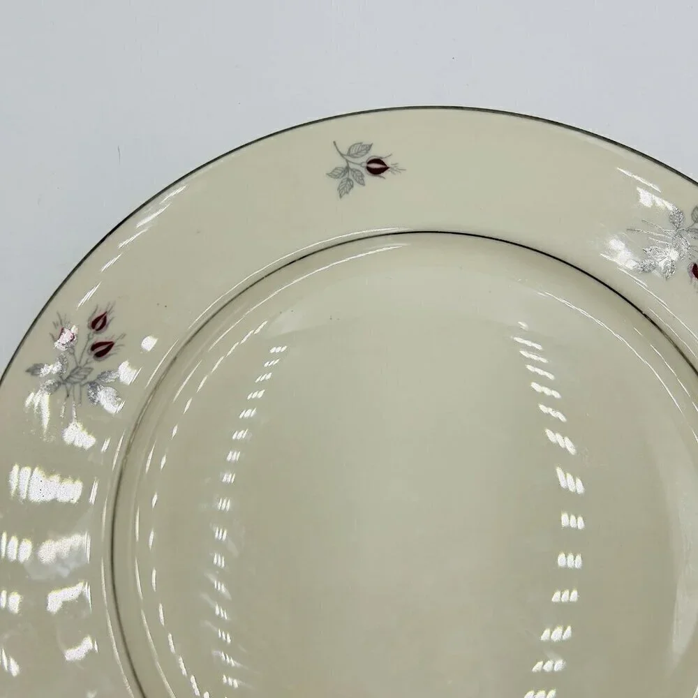 Triomphe Caress Porcelain Dinner Plate 10-3/4